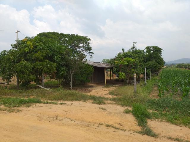 Vendo ou troco chácara - Foto 5