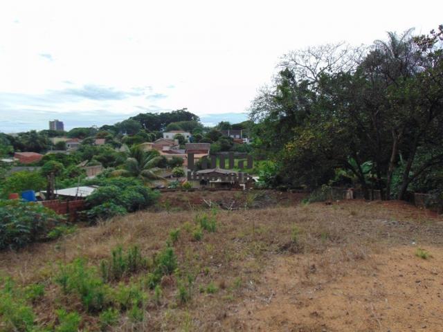 Terreno à venda em Porto rico, Porto rico cod:102