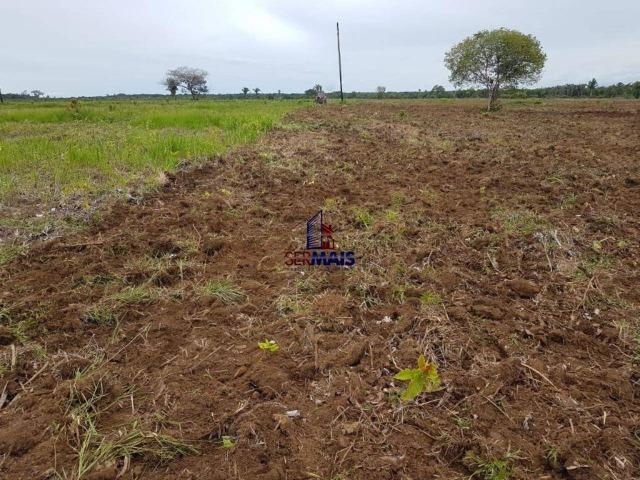 Fazenda à venda, por R$ 25.000.000 - Zona Rural - Humaita/AM - Foto 13