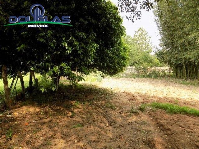 Douglas Imóveis- Tem Sítio 2500m², à Venda, Águas Claras - Foto 13