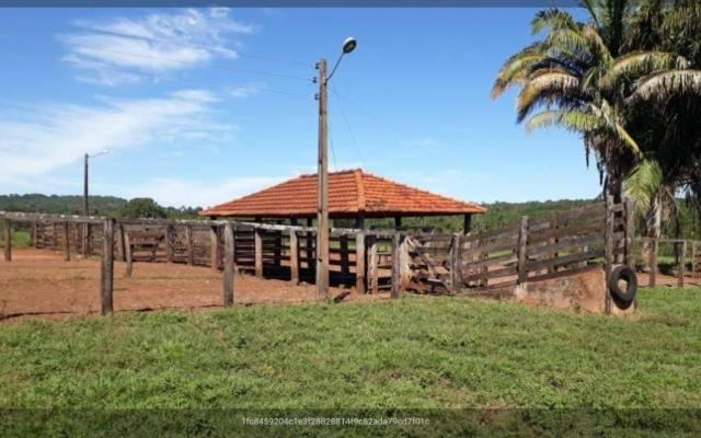 Fazenda município prata - Foto 4