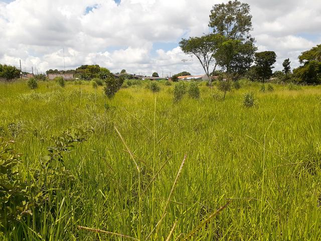 Vendo área na Chácara São Pedro com 9.036,00 m2 - Foto 6