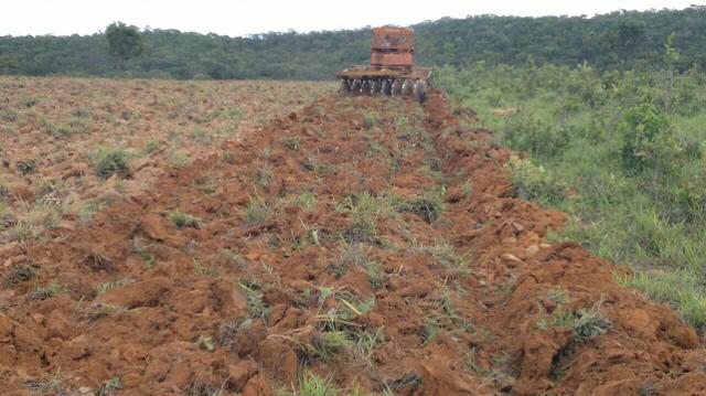 Fazenda município prata - Foto 6