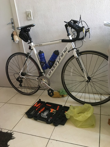 bike speed endorphine