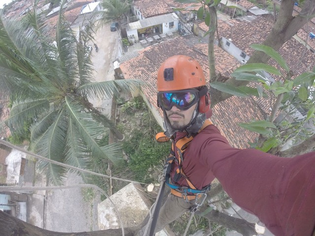Trabalhamos com poda de árvores limpeza de terrenos e remoção de resíduos  - Foto 4