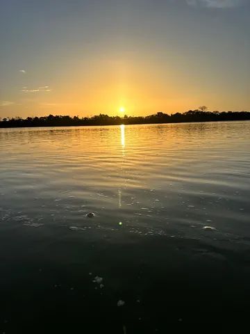 Sítio 60 hequitareas serra gande 1 cantá  - Foto 3