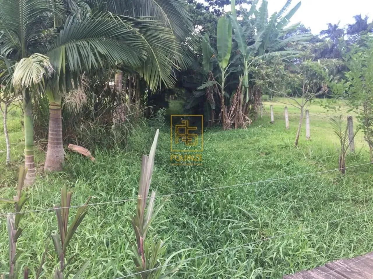 Sítio no Bairro Dona Clara em Timbó - Foto 13