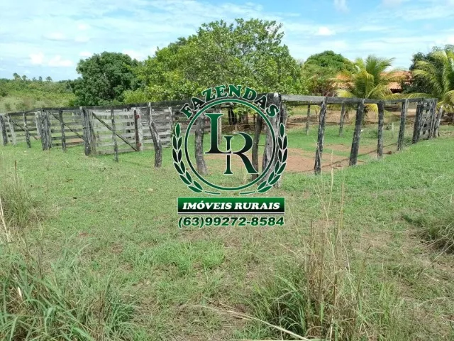 Fazenda/Chácara de 18.5 Alqueires, Próximo a Paraiso