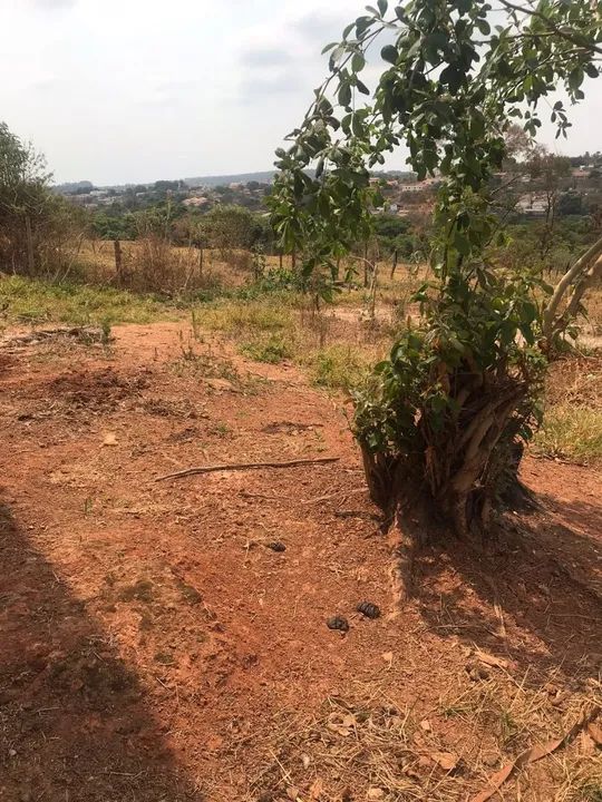 Casa a venda em mateus leme  - Foto 3