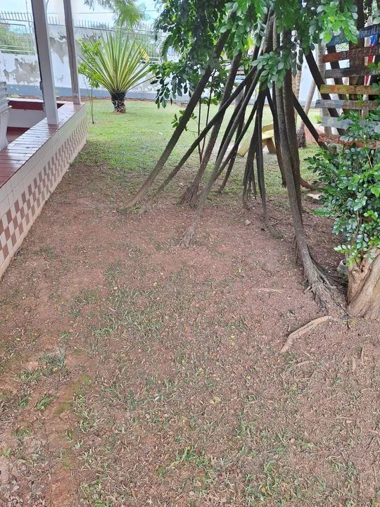 Serviço de jardinagem  - Foto 3