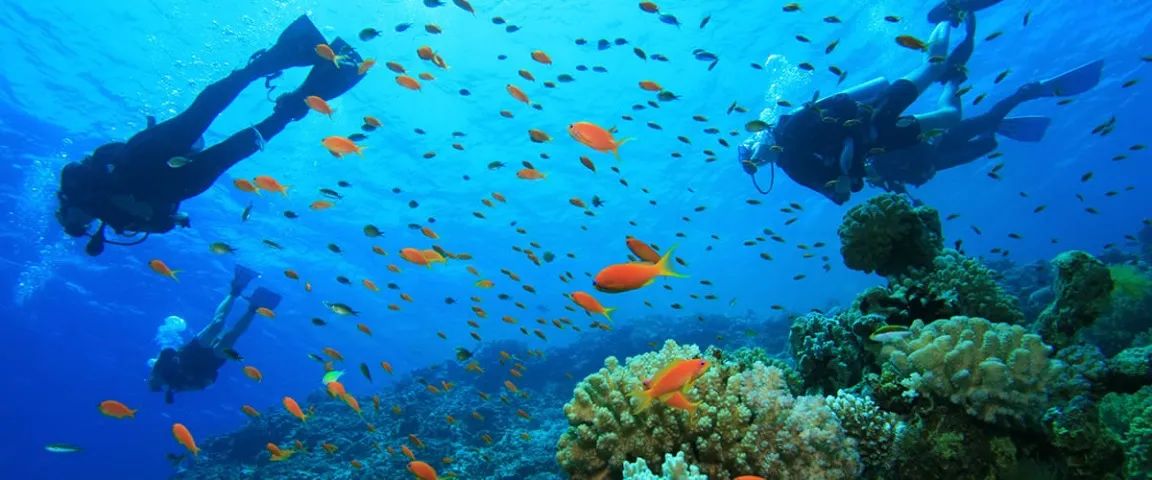 Praia de Itacaré-Ba. Aluguel de Quartos, Kitnets e Apartamentos 2/4 - Foto 12