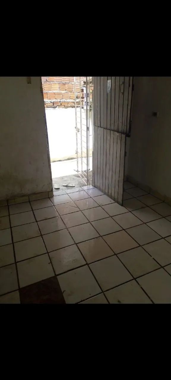 Foto - Olinda - Passarinho