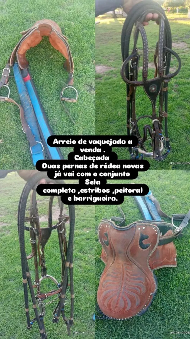 Arreio de Vaquejada Completo para Venda