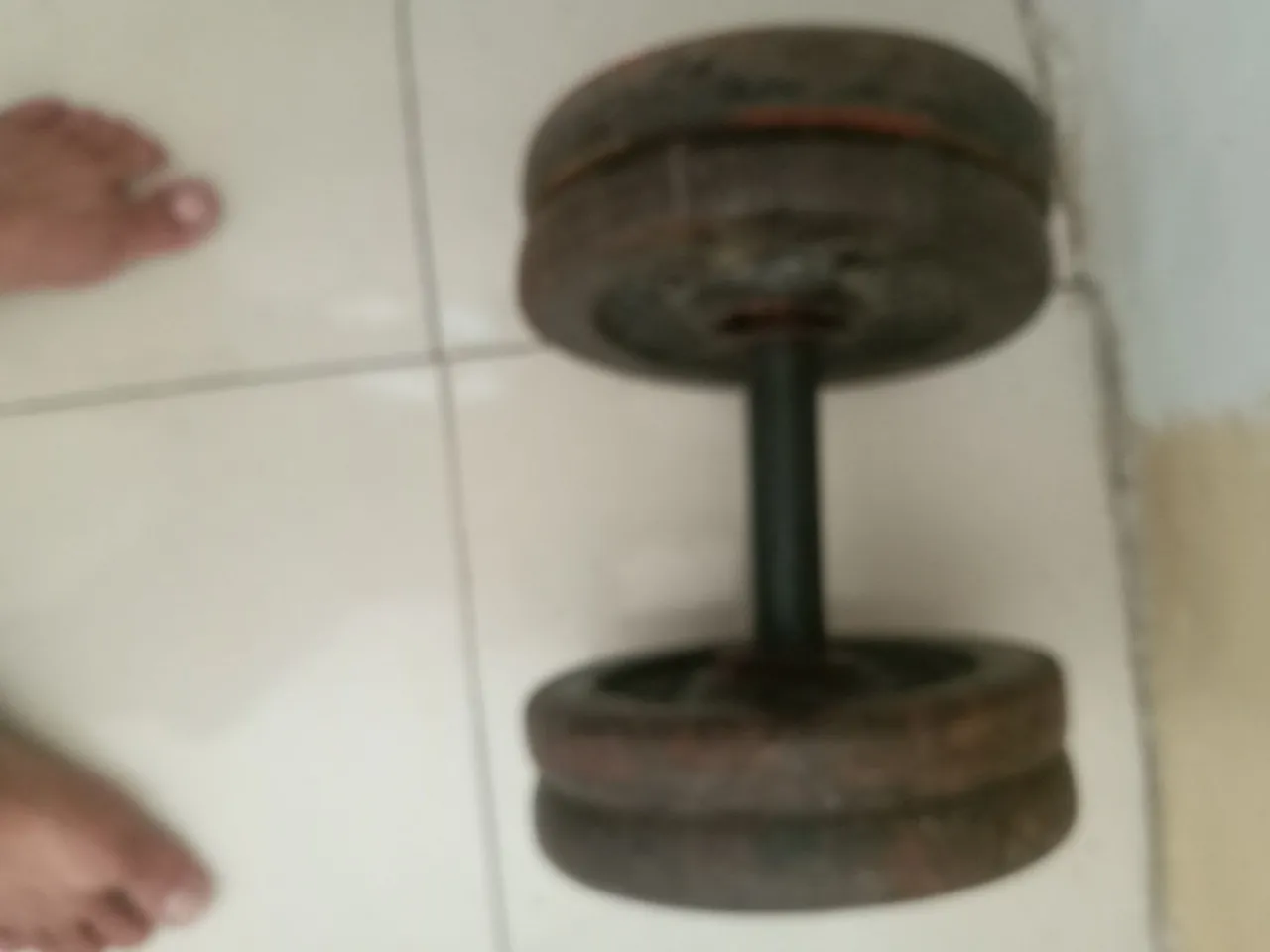 Halteres de Ferro para Musculação - Academia em Casa