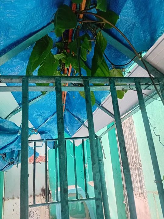 Vendo este carinho da pra. Trabalhar vendendo salgado   - Foto 2