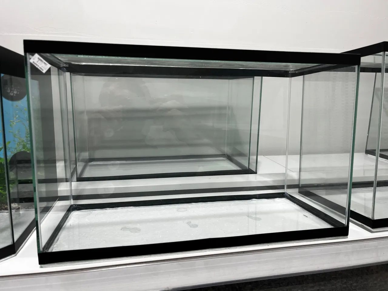 Aquario vidro novo com tampas 