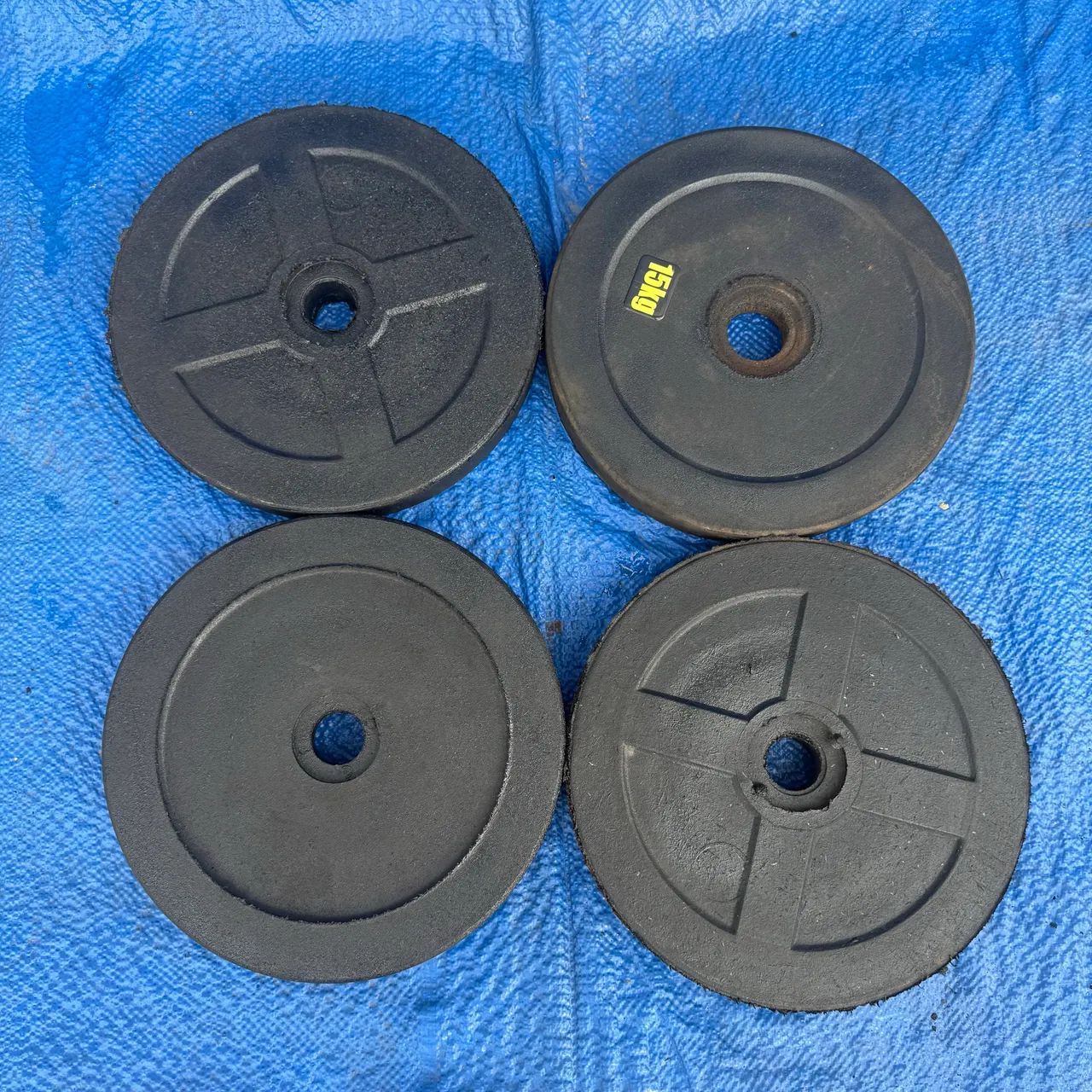 Kit anilhas 2x 15kg