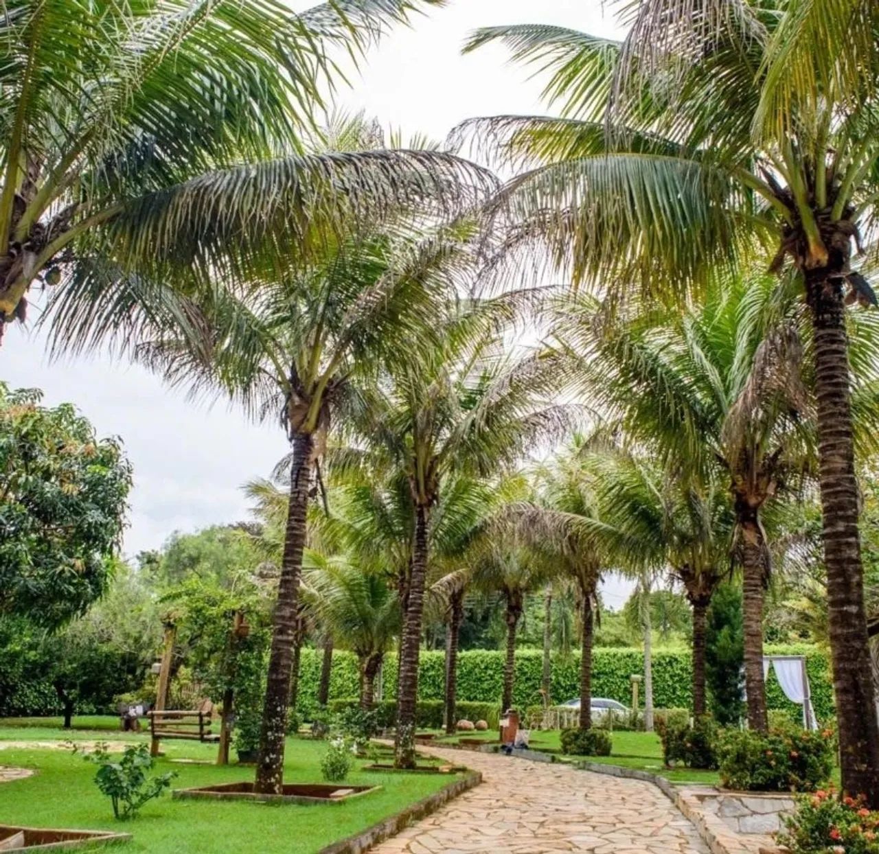 Chácara para eventos em Goiânia DISPONÍVEL   - Foto 7