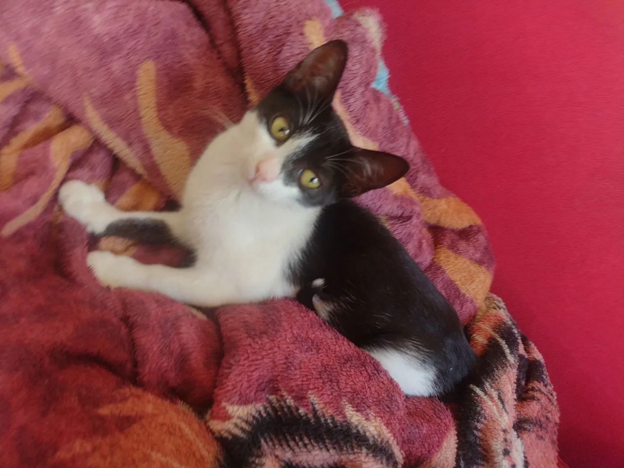 Olha só que fofura essa mocinha