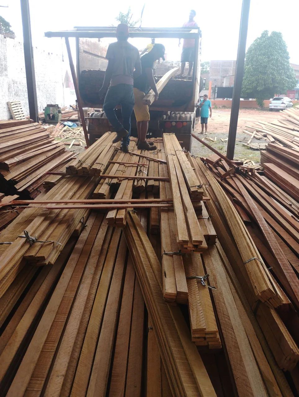 Madeira Maçaranduba e Pau Darco 