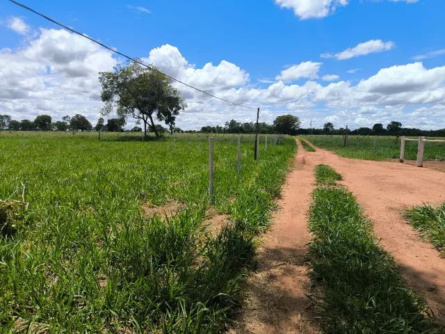 Área  de 20.000 m²  bem localizada e arborizada