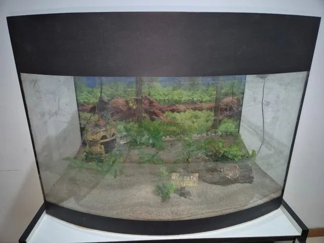 Aquário Curvo lindo 80 litros mais equipamentos, pronto para uso. - Foto 6