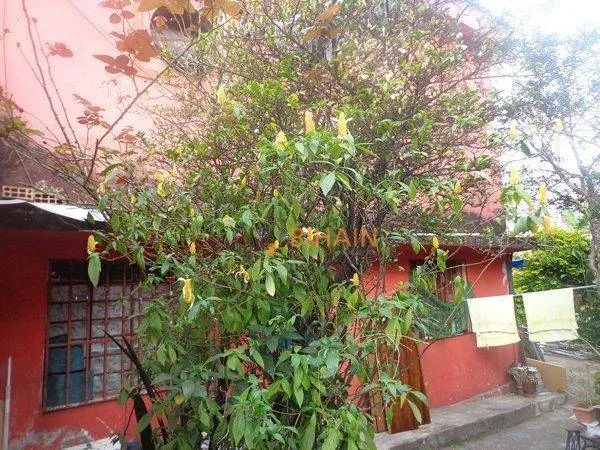 Terreno à venda, 300 m² por R$ 1.700.000,00 - Santo Antônio - Belo Horizonte/MG - Foto 5