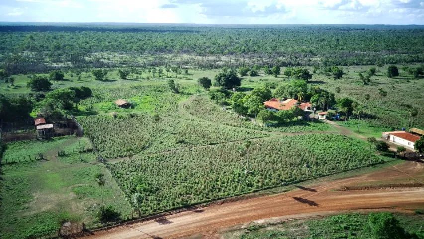 Fazenda de 1450 Hectares - José de Freitas PI - Foto 5