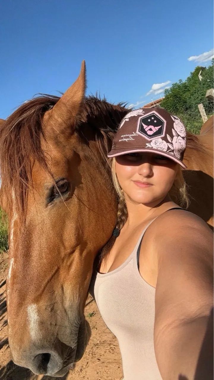 Cavalo para Passeios e Lazer - Foto 2