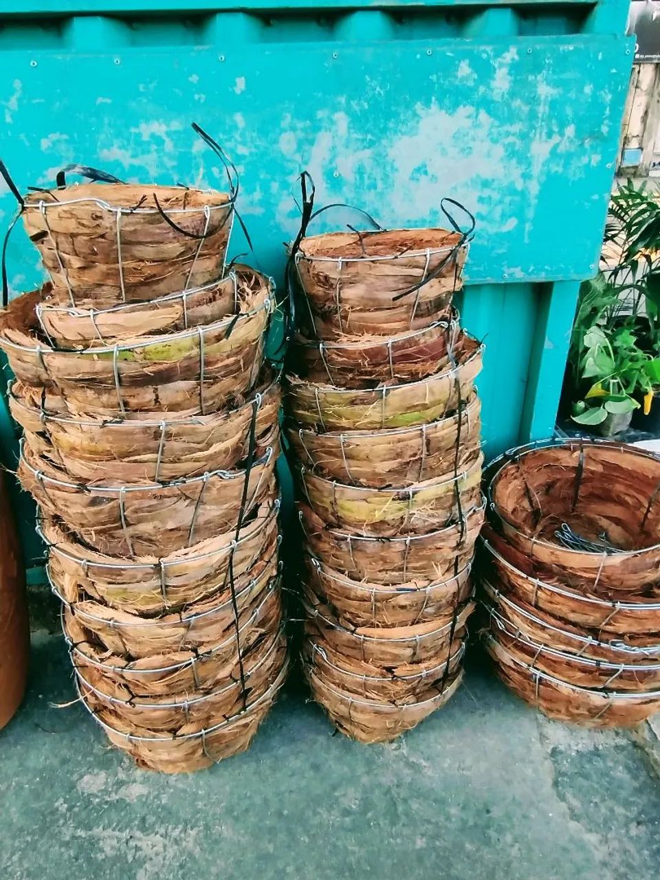 Vasos de fibra de coco para plantas
