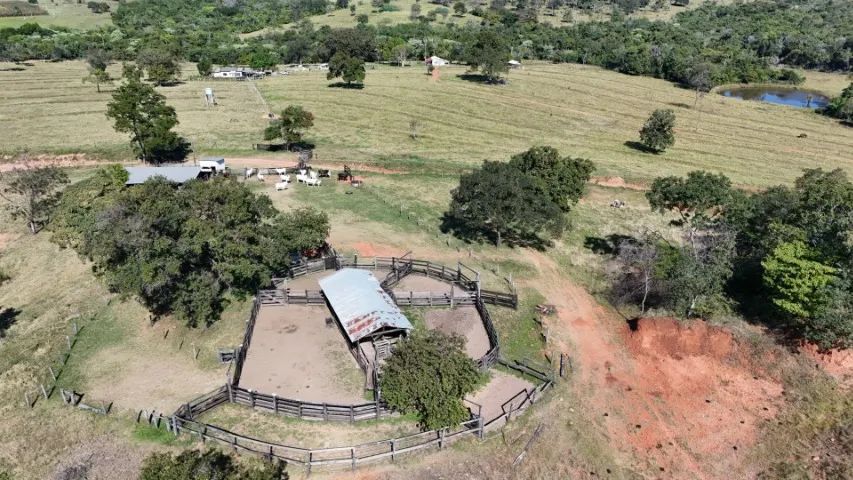 Fazenda de 204 Hectares São Gabriel do Oeste! - Foto 3