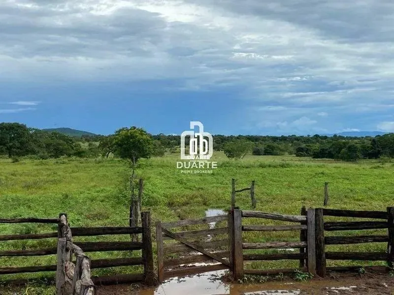 Oportunidade única: fazenda à venda em Formosa-GO, Setor Primavera! 1 quarto, 1 banheiro,