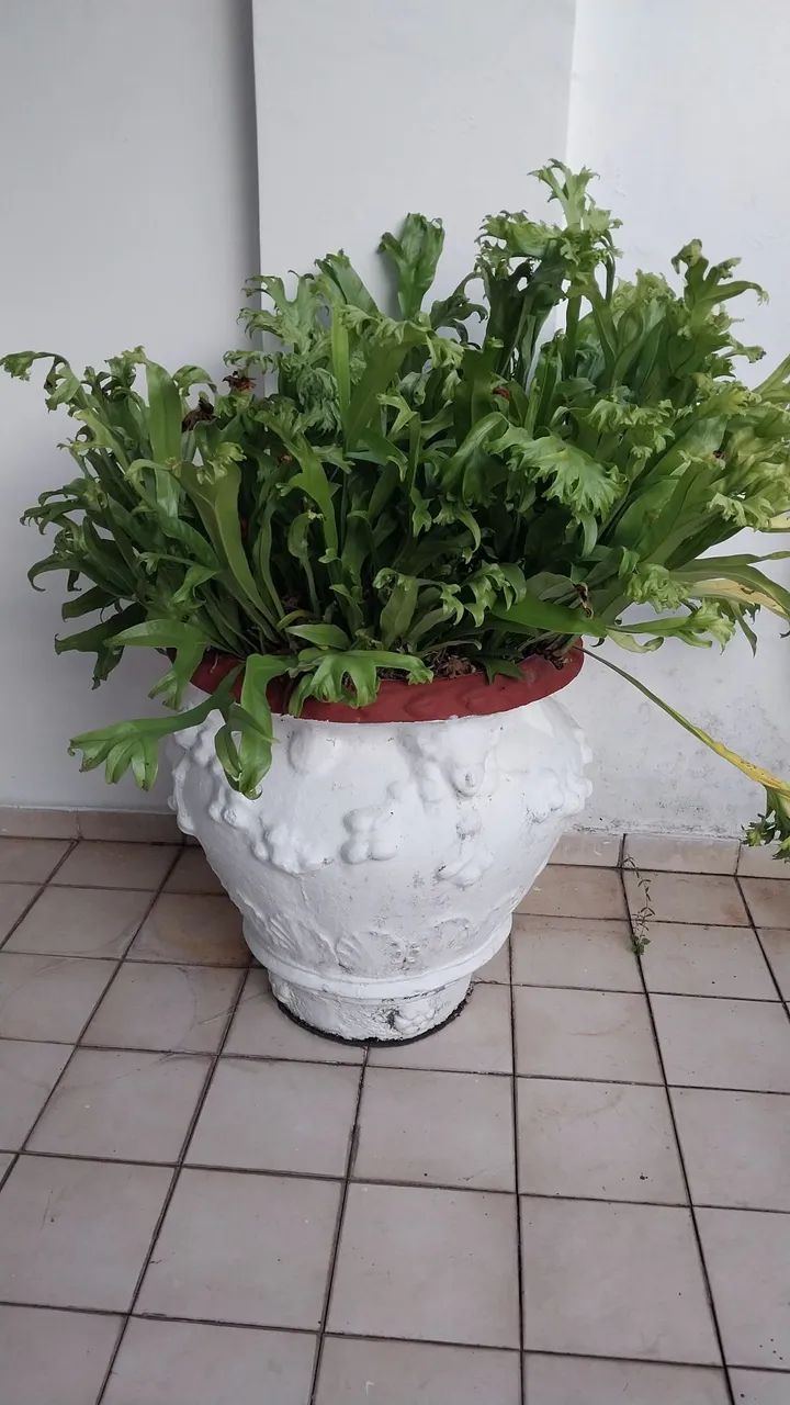 Vase64294098971779125