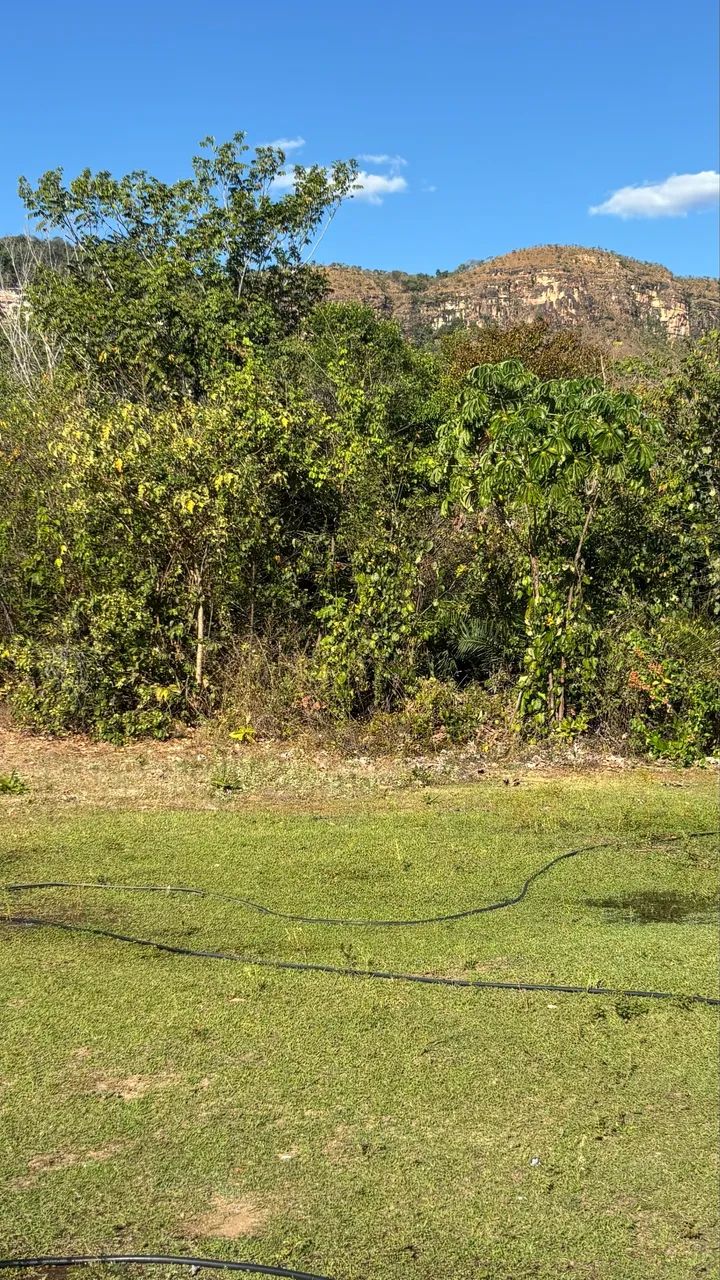 Vendo chácara na beira do Lago  - Foto 3