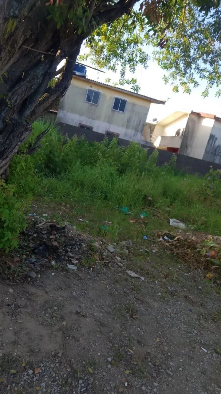 Terreno no Eustáquio  - Foto 3
