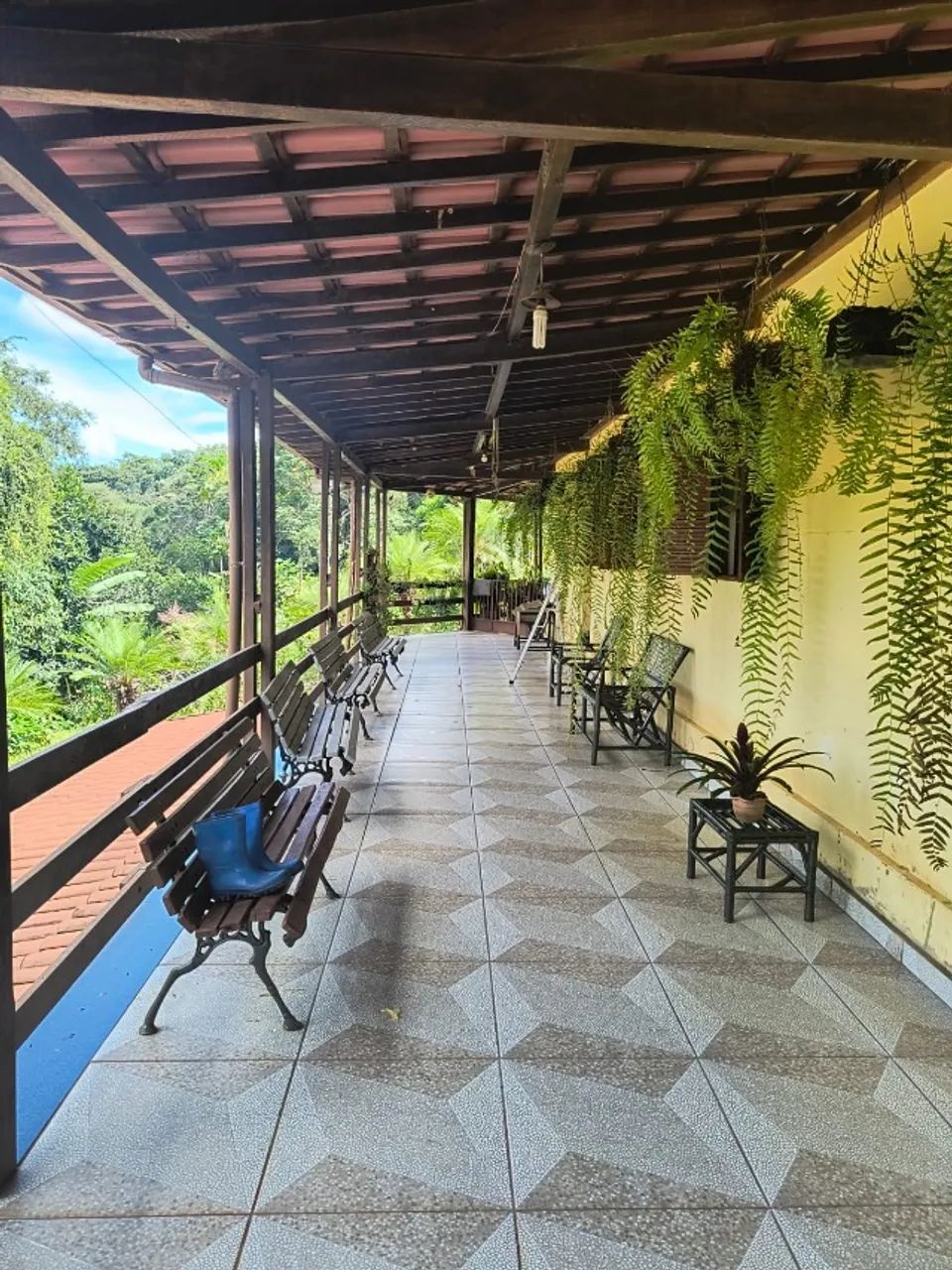 SITIO MARAVILHOSO EM CAETÉ - Foto 5