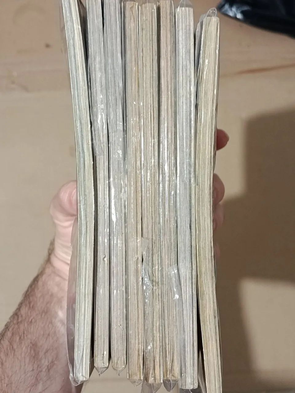Mangá os cavaleiros do zodíaco next dimension - Livros e revistas