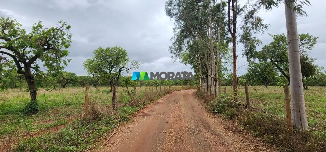 FAZENDA À VENDA - 34 HECTARES - CAETANÓPOLIS (MG) - Foto 5
