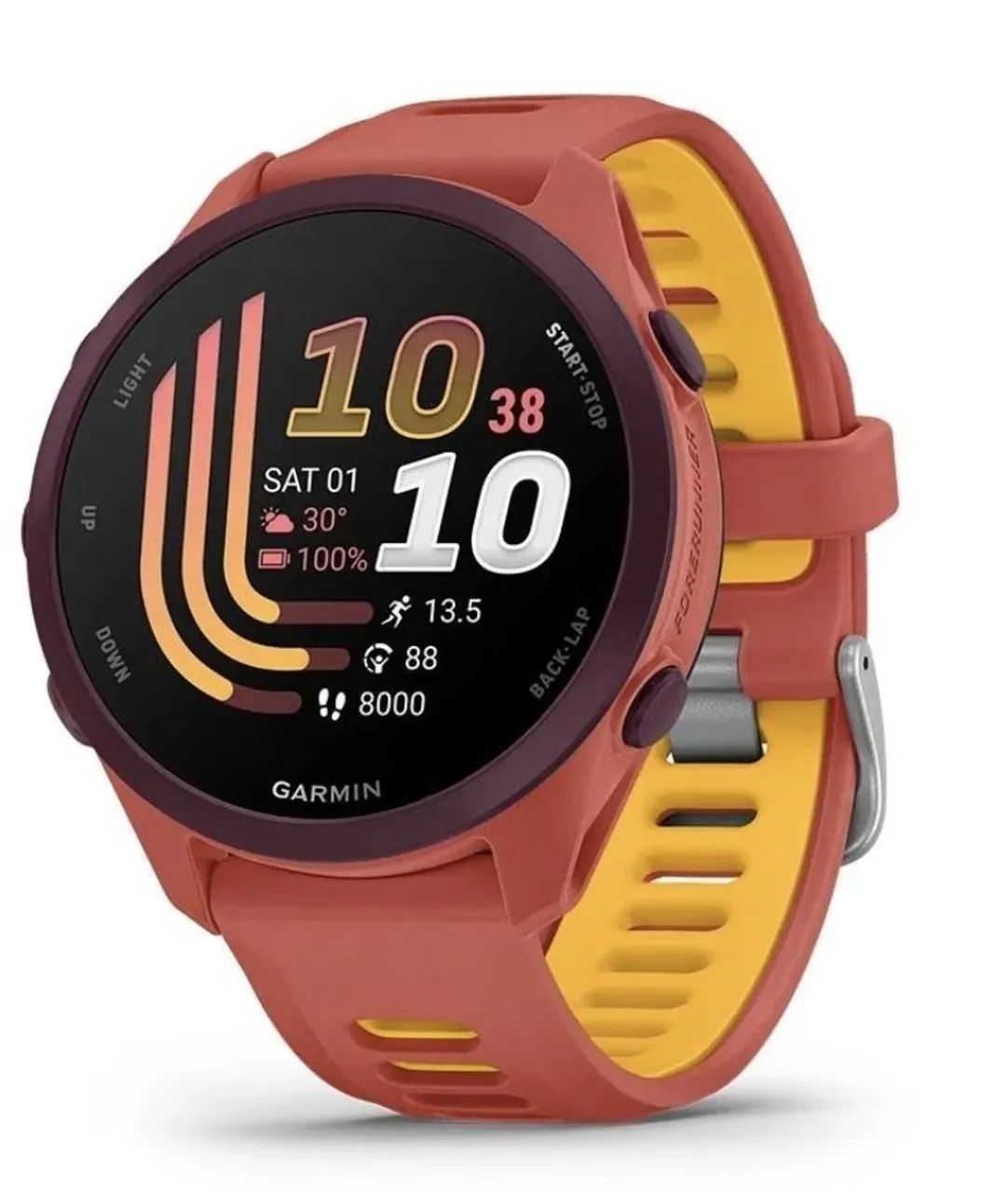 Garmin 170