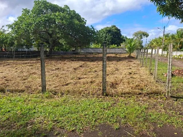 Vendo terreno em aldeia Estrada da mumbeca - Foto 3