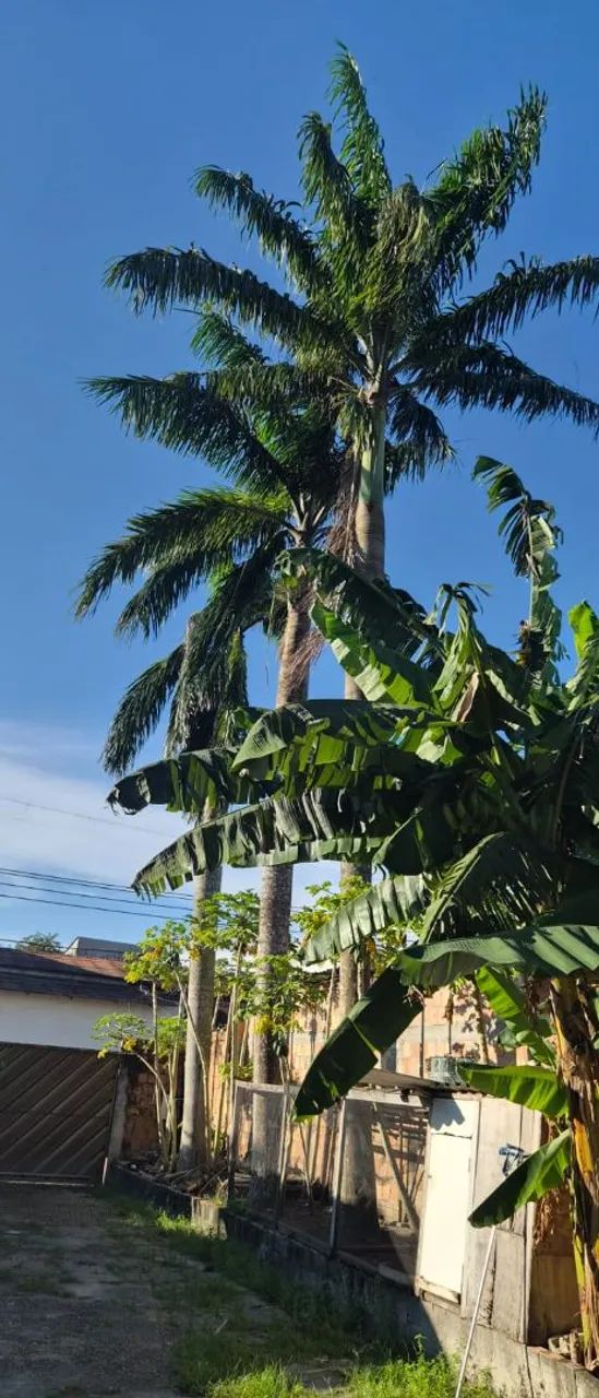 Casa para alugar  - Foto 5
