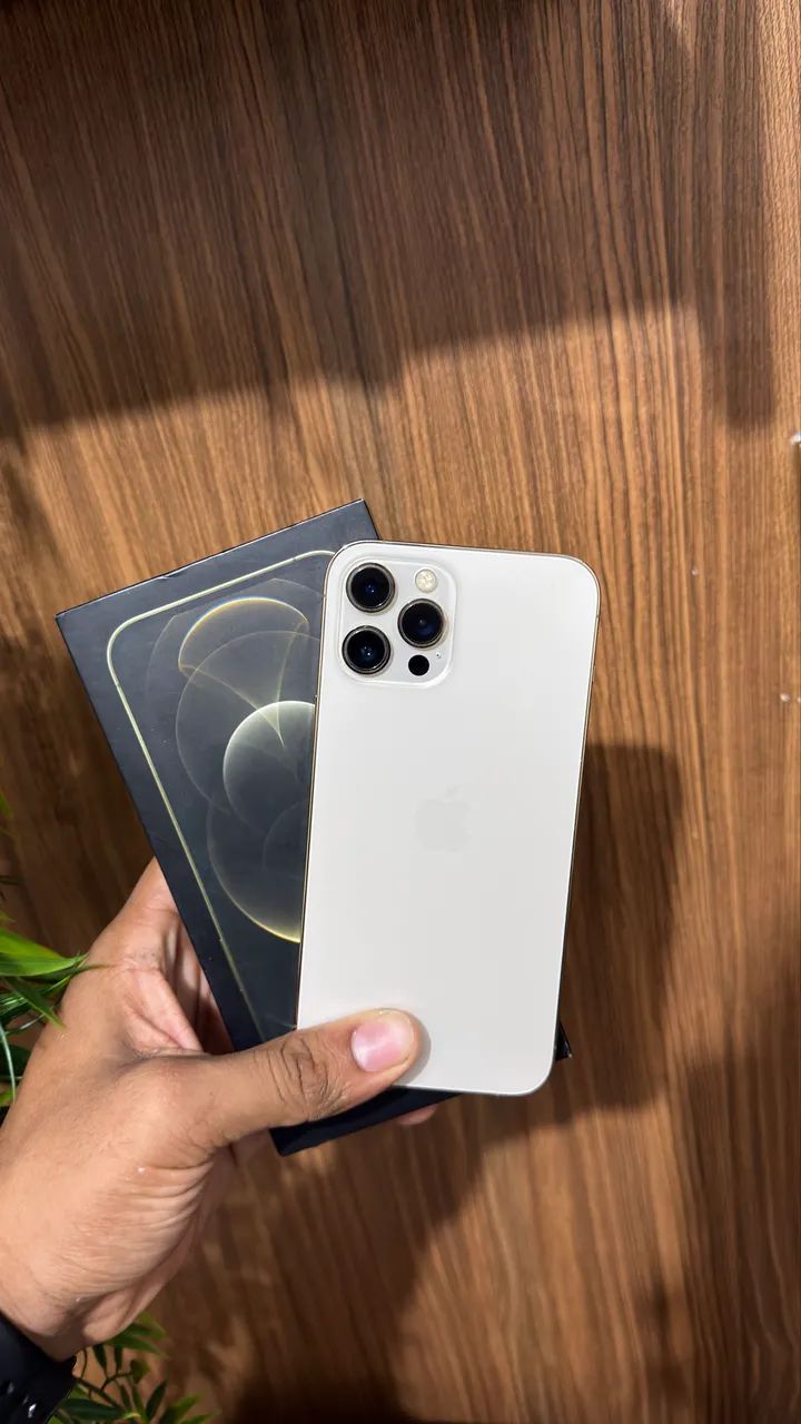 iPhone 12 Pro Max 256 Gb todo original 