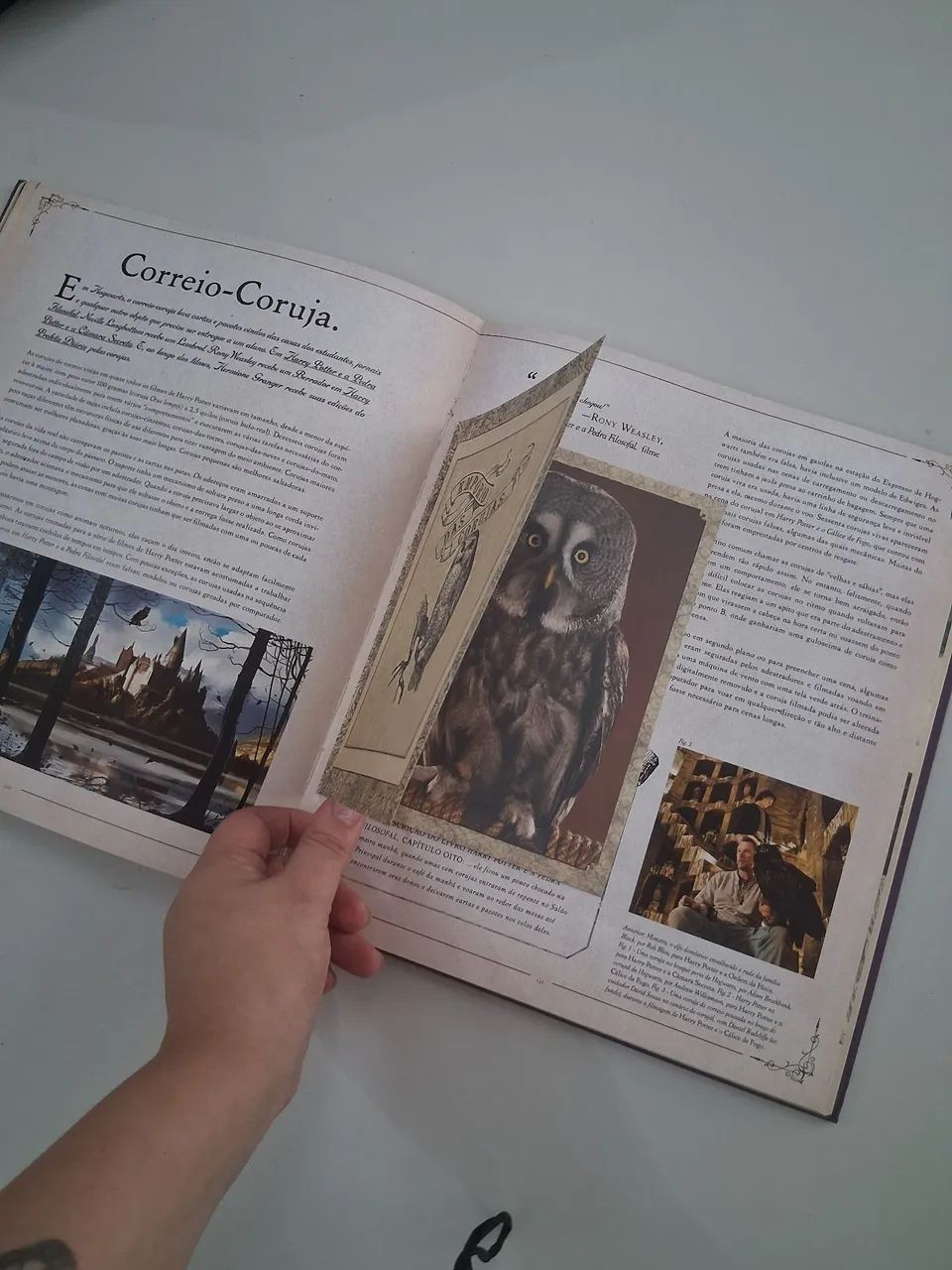 Livro Harry Potter  - Foto 2