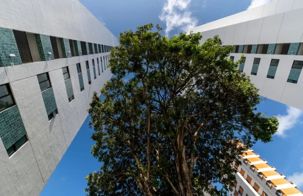 VENDO APARTAMENTO DE 3 QUARTOS EM CANDEIAS - Foto 3