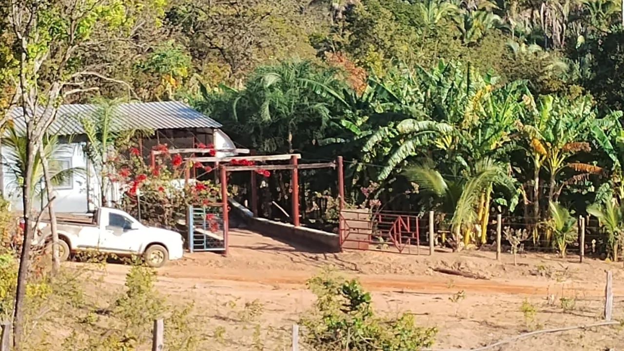 Vendo chácara Tocantins  - Foto 5