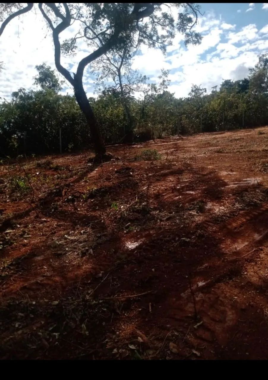 Lote condomínio/ sem pagar condomínio  - Foto 5