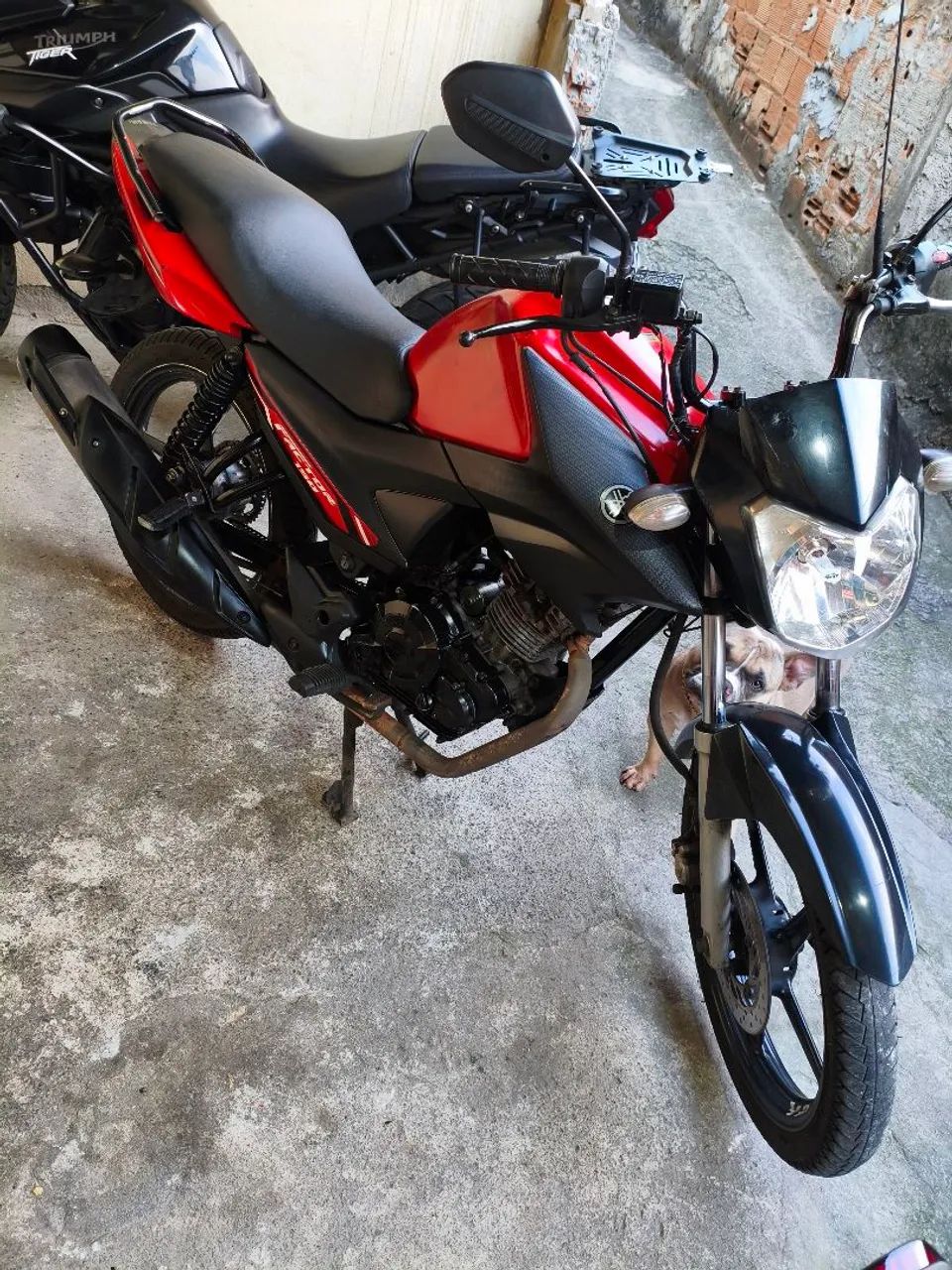 Vendo factor 150 2023