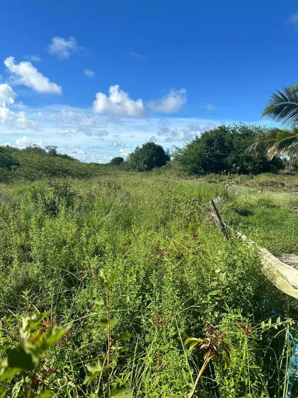 Terreno em Pirambu-Se 20 X 40  - Foto 2