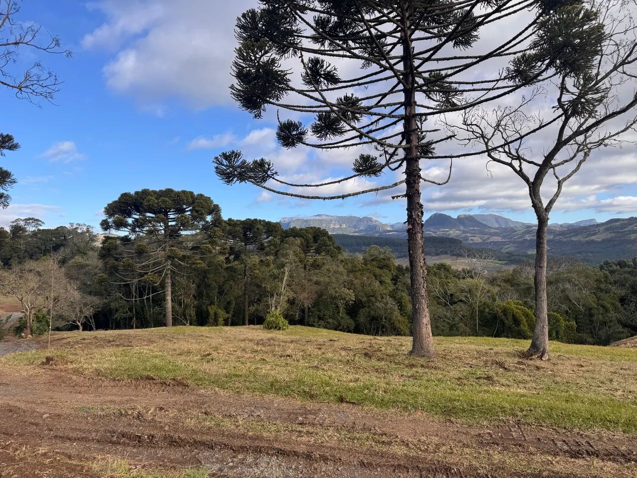 Sítio 2 Hectares em Alfredo Wagner SC - Foto 5