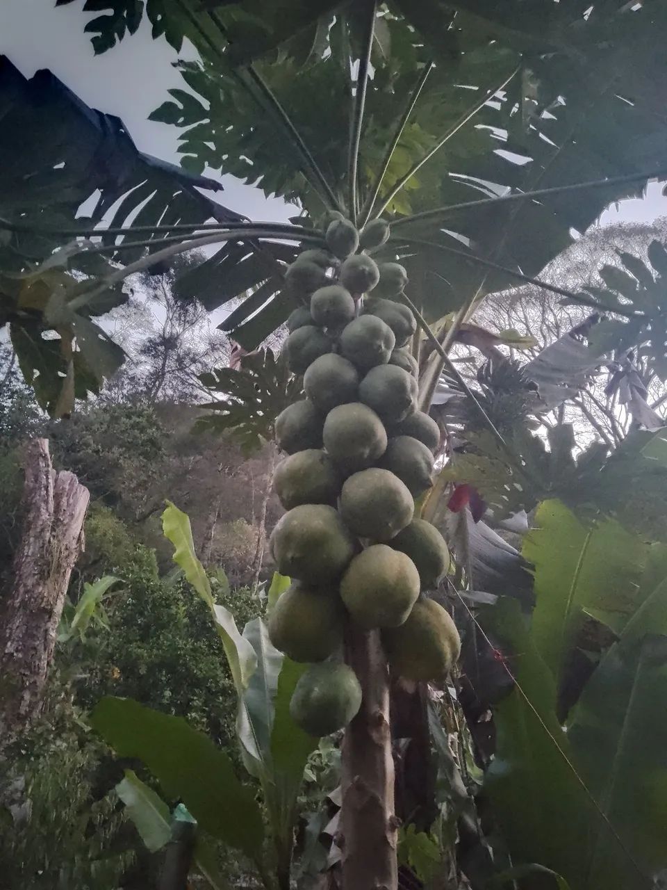 Vende se sitio